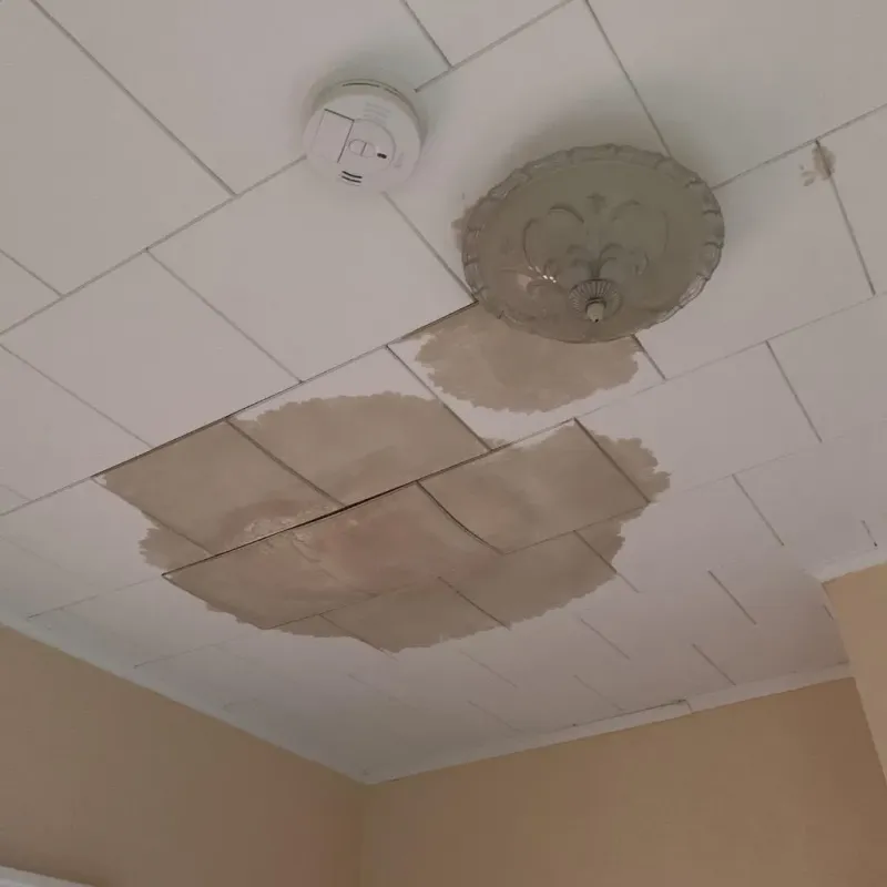 Ceiling Water Damage Repair in Amherst, WI