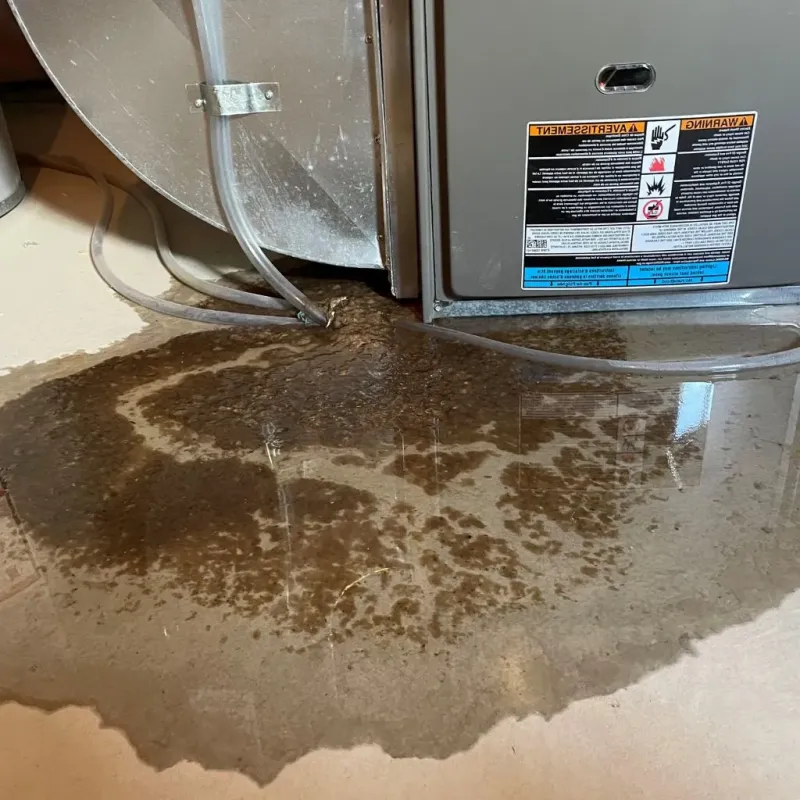 Pipe Burst and Leak Restoration in Amherst, WI