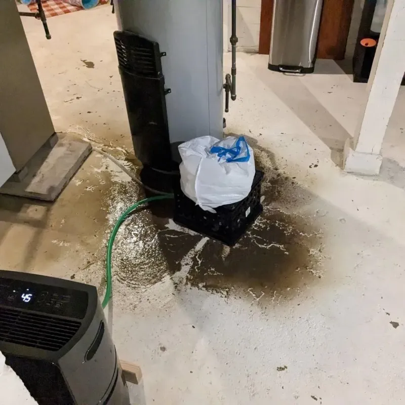 Sewage Backup Cleanup Service in Amherst, WI